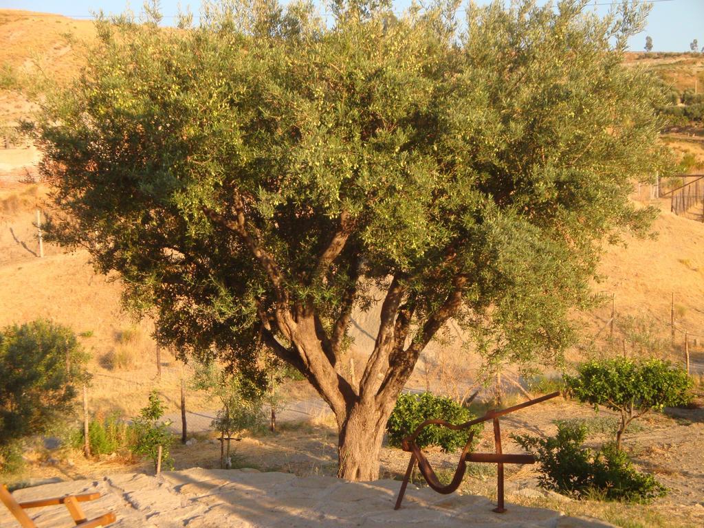 Rio Rosa Βίλα Bova Marina Εξωτερικό φωτογραφία