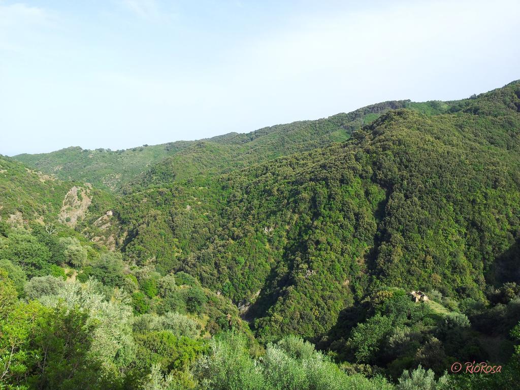 Rio Rosa Βίλα Bova Marina Εξωτερικό φωτογραφία